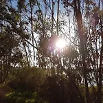 Casa Do Canto - Uma Casa No Campo, Perto Da Praia. Hébergement de vacances Óbidos