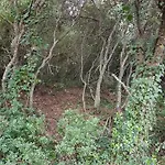 Casa Do Canto - Uma Casa No Campo, Perto Da Praia. Hébergement de vacances *