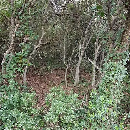 Casa Do Canto - Uma Casa No Campo, Perto Da Praia. Casa de Férias *