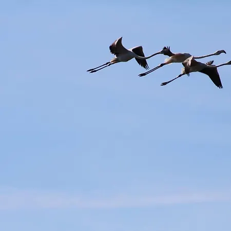 Casa Do Canto - Uma Casa No Campo, Perto Da Praia. Casa de Férias
