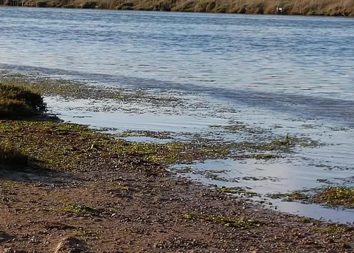 Casa Do Canto - Uma Casa No Campo, Perto Da Praia. *