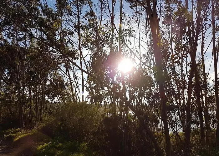 Casa Do Canto - Uma Casa No Campo, Perto Da Praia. 펜션 오비도스