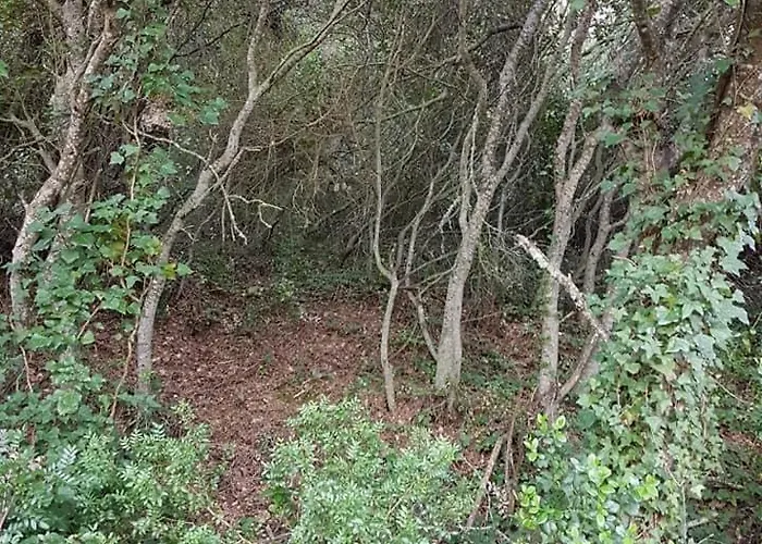 Casa Do Canto - Uma Casa No Campo, Perto Da Praia. Сasa de vacaciones *