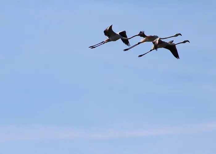 Casa Do Canto - Uma Casa No Campo, Perto Da Praia. 펜션